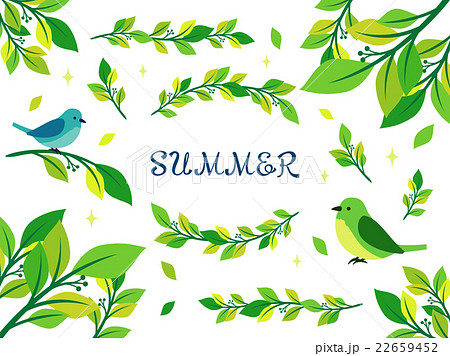 夏 緑 イラスト集のイラスト素材 22659452 Pixta