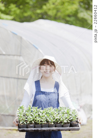 農業　女性 22660412
