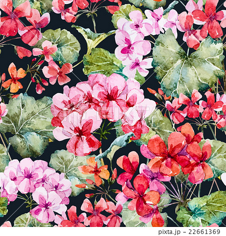 Watercolor geranium pattern 22661369