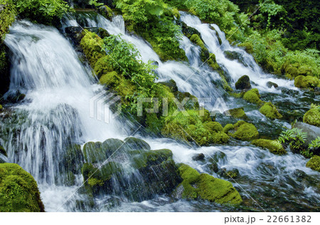 北海道 京極ふきだし公園 北海道 京極ふきだし公園 22661382