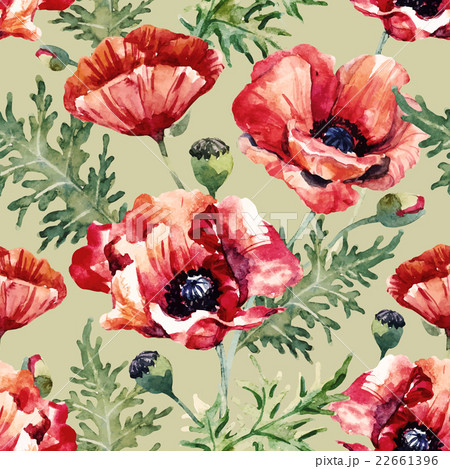 Watercolor poppy flower pattern 22661396