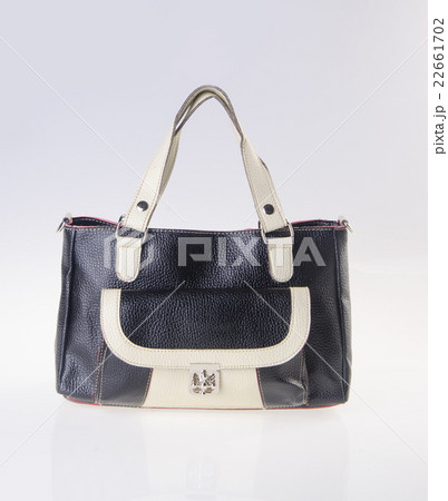 ladies bag on the white background ladies bag on the white background 22661702
