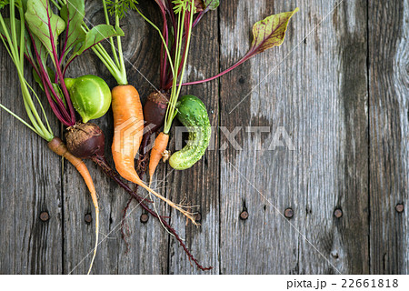 Ugly carrot, beetroot and cucumber Ugly carrot, beetroot and cucumber 22661818