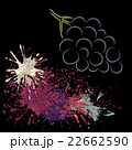 Colored outline of grape with blots, vector 22662590