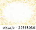 バラの背景（うっすら全面白） 22663030
