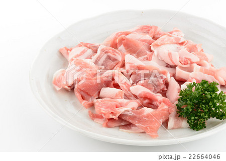 三元豚　うで　小間切れ 22664046