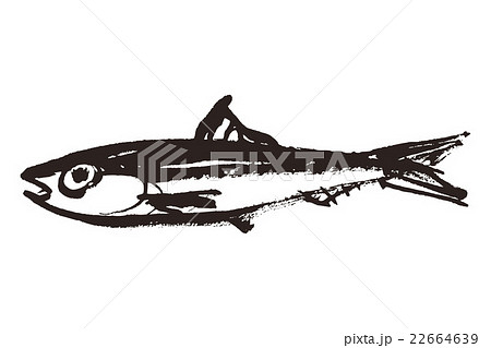 いわしのイラスト素材 22664639 Pixta