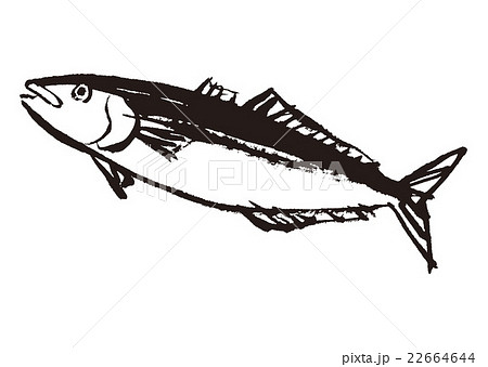 ぶりのイラスト素材