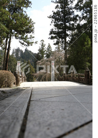 久遠寺 22665136
