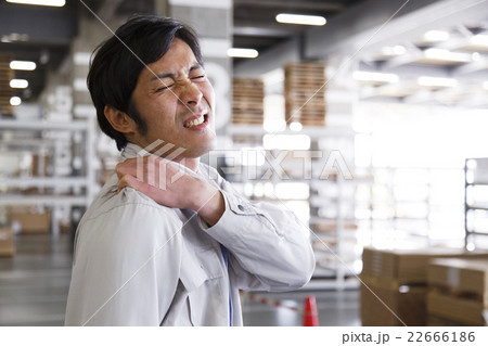 ビジネス ビジネス 22666186