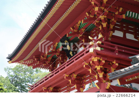鶴岡八幡宮 本宮 鶴岡八幡宮 本宮 22666214