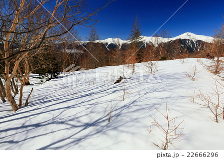 南アルプス・杖立峠付近から白峰三山 22666296