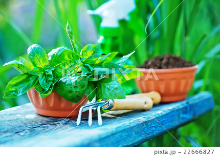 gardening utensil gardening utensil 22666827