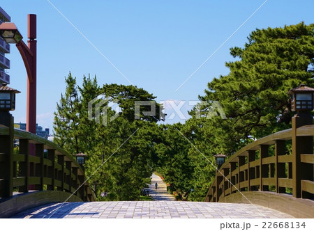 草加松原遊歩道 22668134