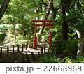 森の中の赤い鳥居 22668969