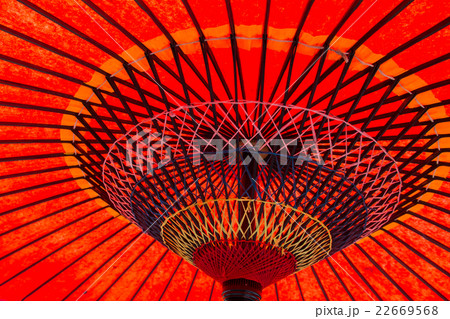 和傘 22669568