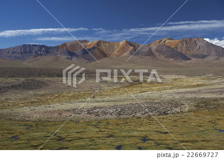 Landscape of Lauca National Park Landscape of Lauca National Park 22669727