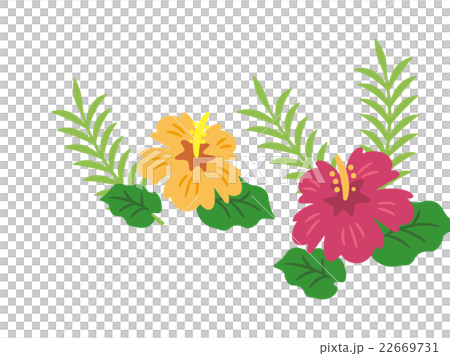 ハイビスカス 沖縄 南国 シリーズ のイラスト素材