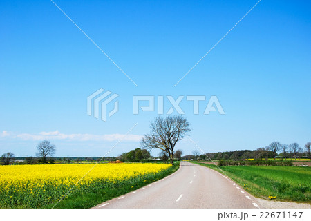 Countryroad by springtime Countryroad by springtime 22671147