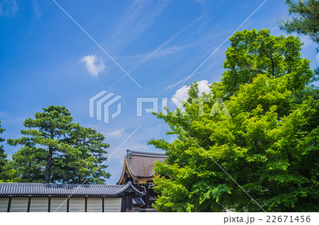 新緑の京都御苑 新緑の京都御苑 22671456