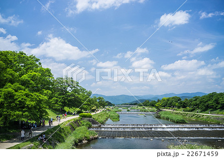 新緑の賀茂川 新緑の賀茂川 22671459