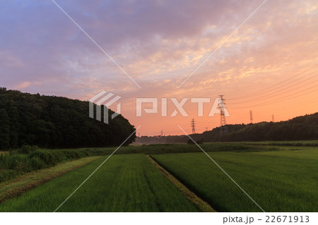 初夏の早朝の四街道の田園風景 初夏の早朝の四街道の田園風景 22671913