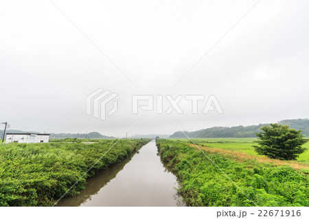 初夏の鹿島川の風景 初夏の鹿島川の風景 22671916