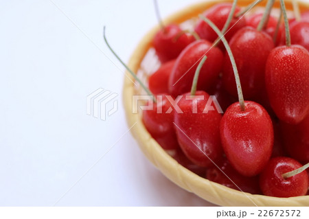 ビックリグミ 22672572