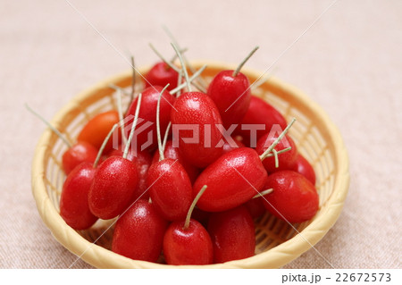 ビックリグミ 22672573