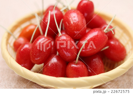 ビックリグミ 22672575