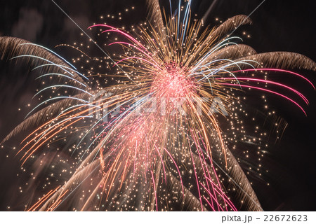 大曲花火大会 22672623