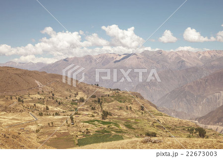 Colca canyon, Arequipa, Peru 22673003