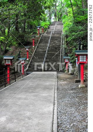 高尾山　男坂 22673762