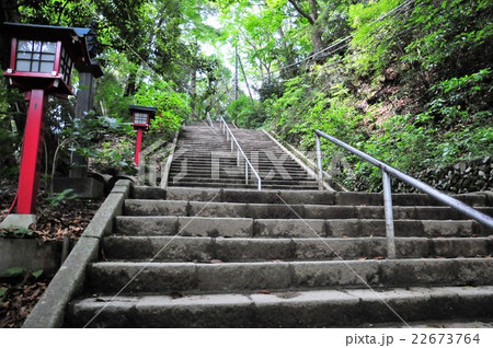 高尾山 男坂 高尾山 男坂 22673764