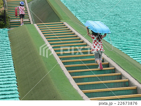 芝滑りの階段を登る子供 22673876