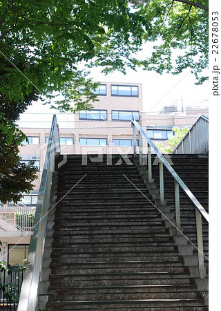 東大の歩道橋(農学部から工学部へ) 東大の歩道橋(農学部から工学部へ) 22678053