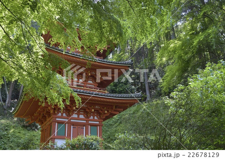 岩船寺 三重塔 岩船寺 三重塔 22678129