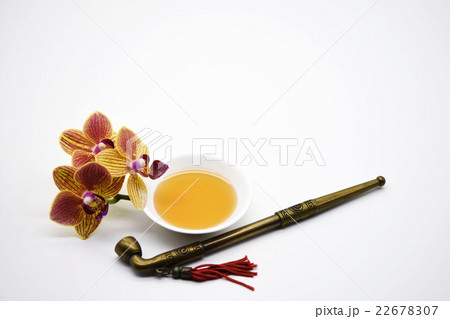 花 フラワー お花 22678307