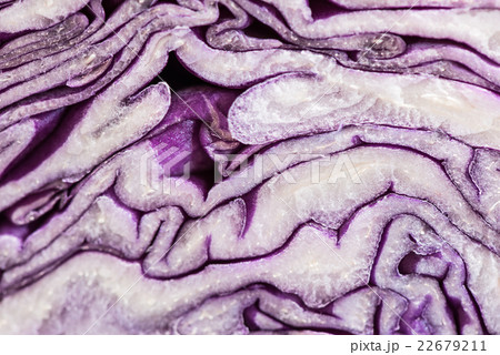 レッドキャベツ、食材、接写、マクロ。 22679211