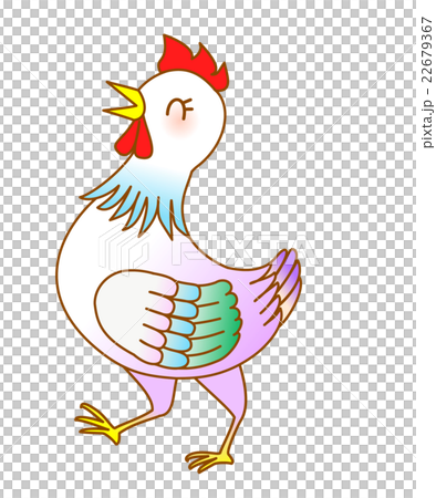 Chick female Chick female 22679367