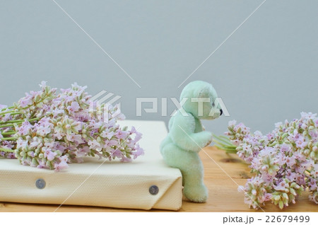 ピンクラベンダーとテディベア ピンクラベンダーとテディベア 22679499