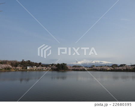 桜咲く勢至公園から見た鳥海山 桜咲く勢至公園から見た鳥海山 22680395