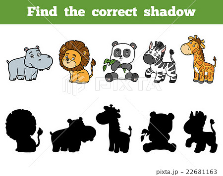 Find the correct shadow. Animal collection 22681163