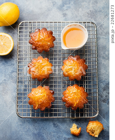 Lemon muffins cakes, financiers on a cooling rack 22681273