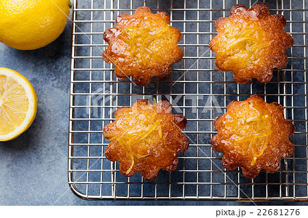 Lemon muffins cakes, financiers on a cooling rack Lemon muffins cakes, financiers on a cooling rack 22681276