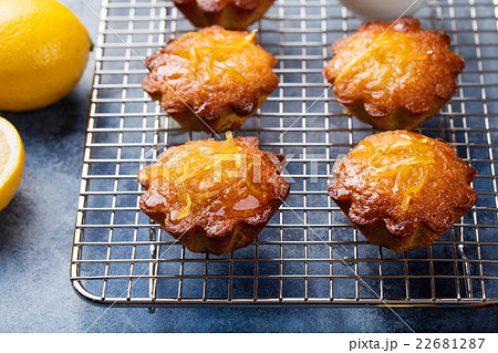 Lemon muffins cakes, financiers on a cooling rack 22681287