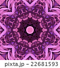 Symmetrical decorative patterns,  multicolored. 22681593