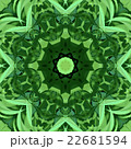 Symmetrical decorative patterns,  multicolored. 22681594
