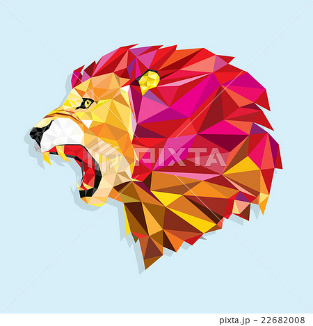 Angry Lion With Geometric Patternのイラスト素材 22682008 Pixta