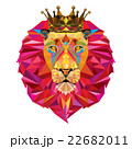 Lion head in geometric pattern 22682011